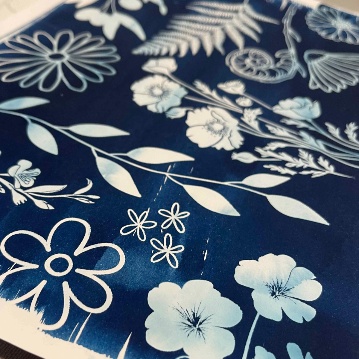Cyanotype Sun Print Kit