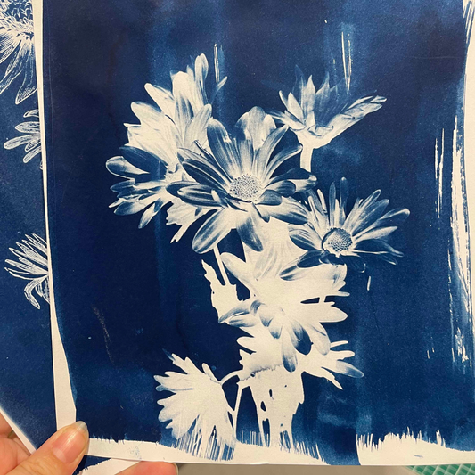 Cyanotype Sun Print Kit